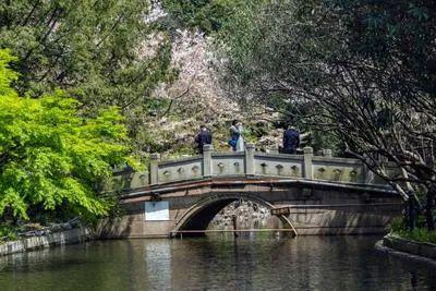万科中兴傲舍售楼处电话：顶奢生活之选麻将胡了模拟器试玩十一月百度热搜 @(图23)